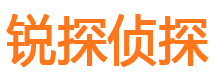 西充寻人公司